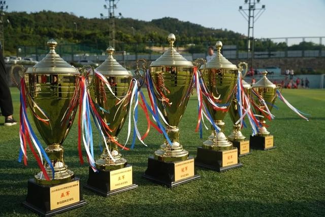 踢球者对德甲球队夏窗引援评分 拜仁第一多特第十